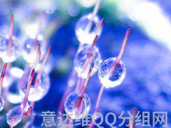 2020年最新图案qq搞笑分组