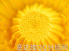 2020年搞笑个性QQ分组_qq幽默逗比分组9组